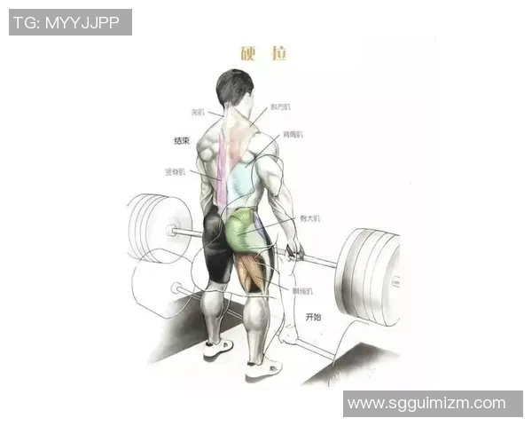 哑铃深蹲标准动作详解与注意事项图解指南