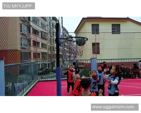 宜阳篮球明星的成长之路与辉煌成就探秘