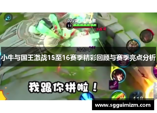 小牛与国王激战15至16赛季精彩回顾与赛季亮点分析